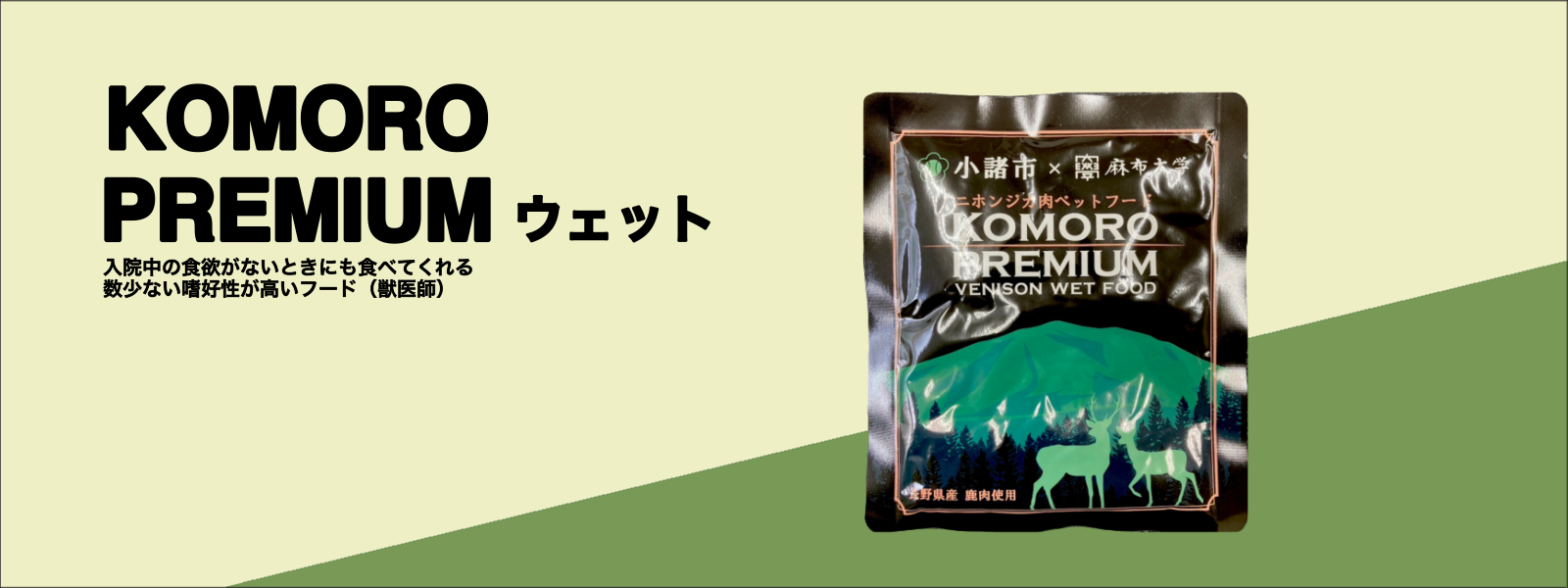 無題14_20240628194321