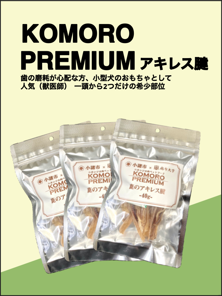 無題15_20240628191528