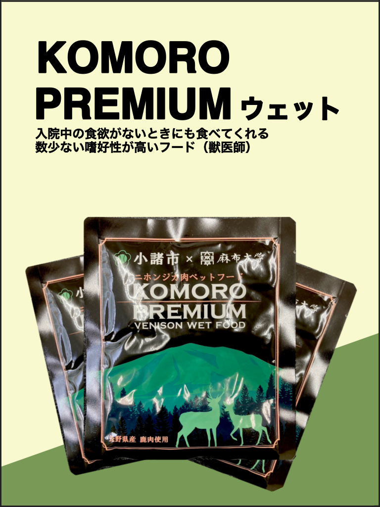 無題15_20240628191703